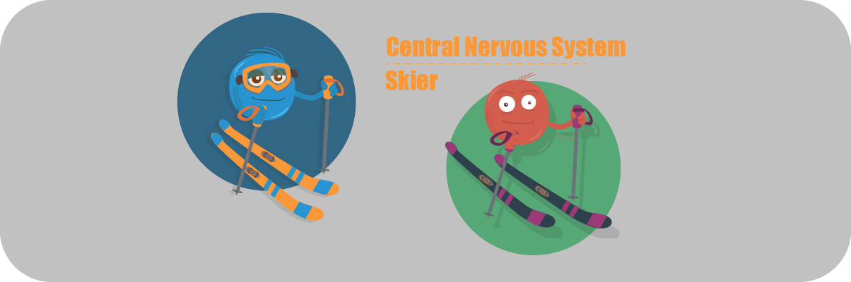 Meet the Central Nervous System