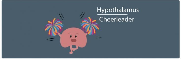 Hypothalamus is the cheerleader