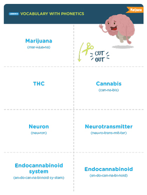 Marijuana Vocabulary Cards