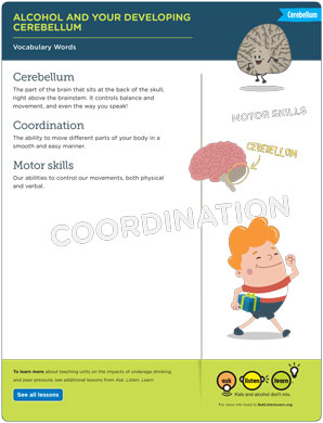 Cerebellum Vocabulary List