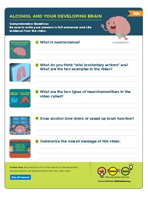 Alcohol and Your Brain Comprehension Questions