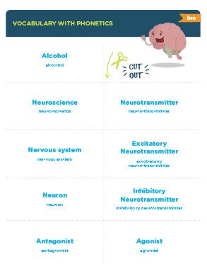 Alcohol and your Brain Vocabulary Cards
