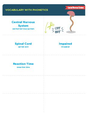 Central Nervous System Vocabulary Cards
