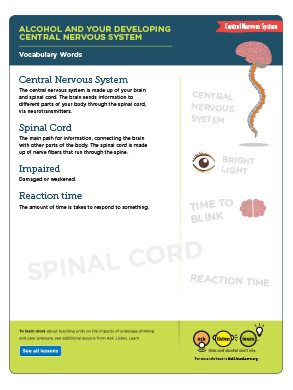 Central Nervous System Vocabulary