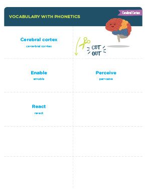 Cerebral Cortex Vocabulary Cards