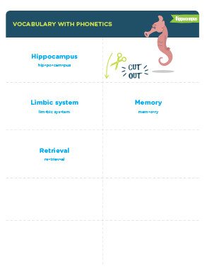 Hippocampus Vocabulary Cards