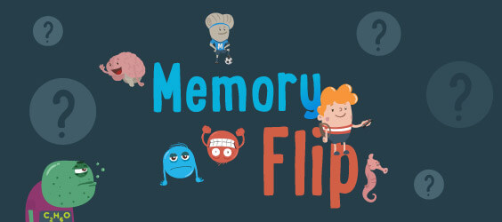 Memory Flip
